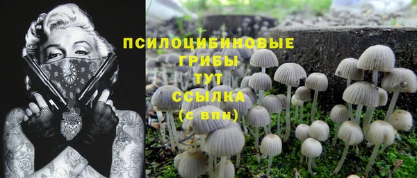 круглые Аркадак