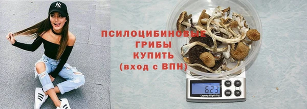 круглые Аркадак